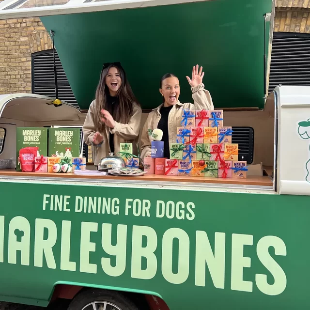 marleybones branded bug in covent garden for a brand activation